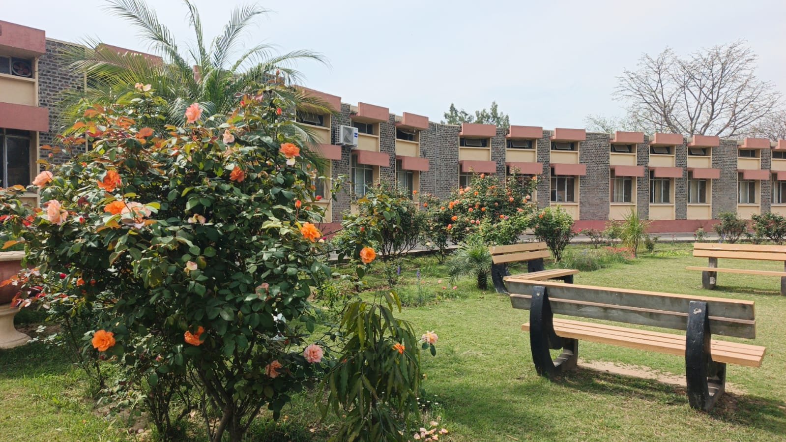College campus